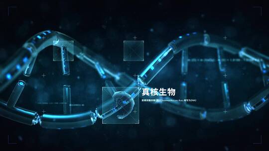 科技感十足DNA链展示模板