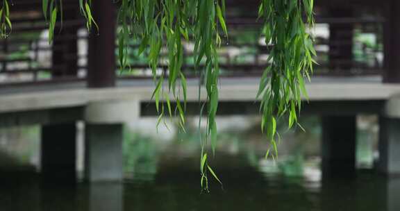 雨水惊蛰谷雨意境屋檐雨滴滴水