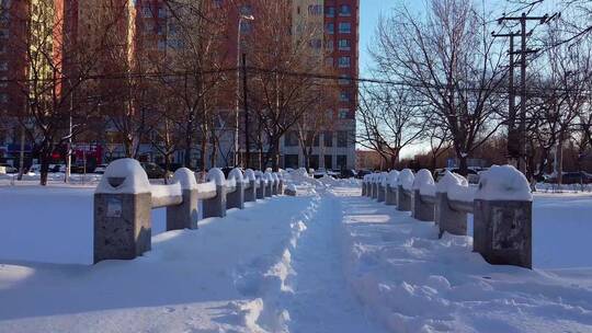 冬天公园老树小河雪景