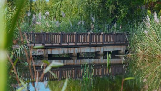 公园小木桥视频绿植环绕的小桥风景