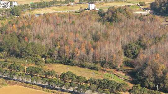 新安江江边村庄景色航拍