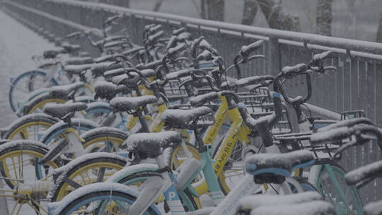 冬季雪景 城市初雪 下雪空镜