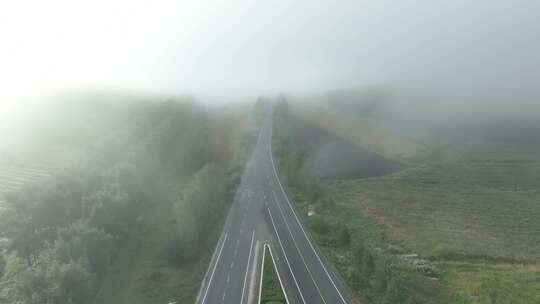 浓雾天气道路交通汽车行驶安全视频素材模板下载