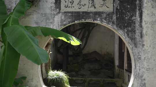 古代建筑圆形门洞和芭蕉树叶