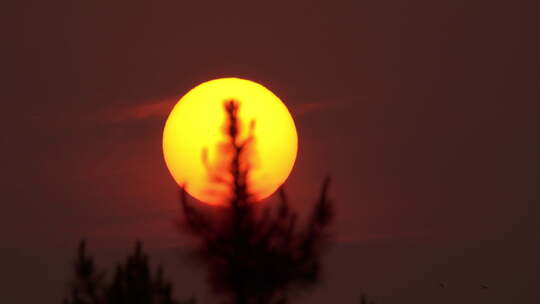 日落西山太阳黄昏夕阳飞鸟视频素材模板下载