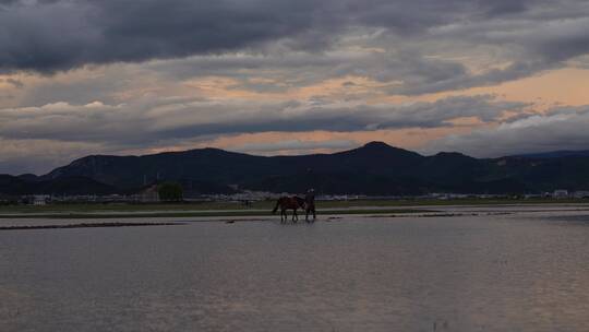 香格里拉纳帕海景区景点