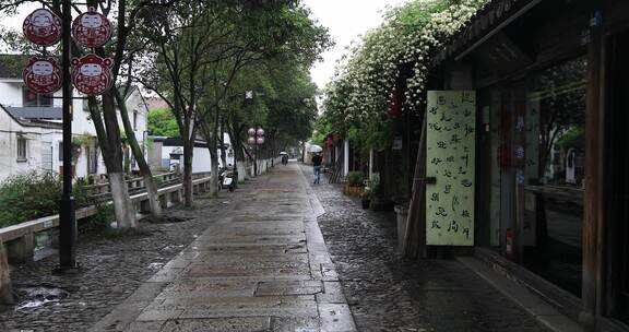 绵绵春雨木香花谷雨苏州平江路春天花海古建