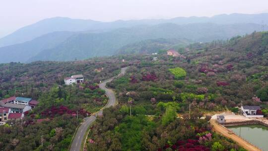 四明山国家森林公园景区航拍