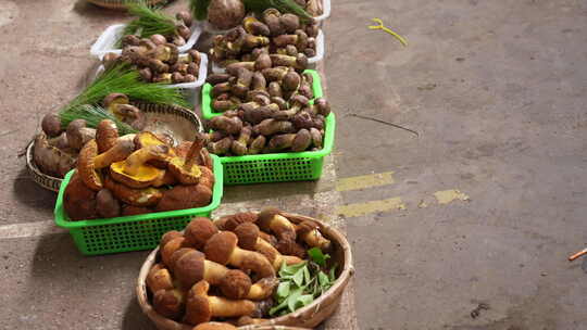 云南昆明野生菌交易市场