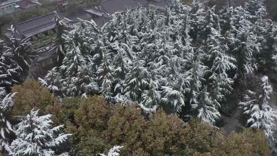 雪中的西安大雁塔雪景