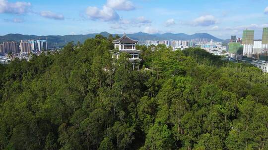 深圳坪山燕子岭公园 (2)