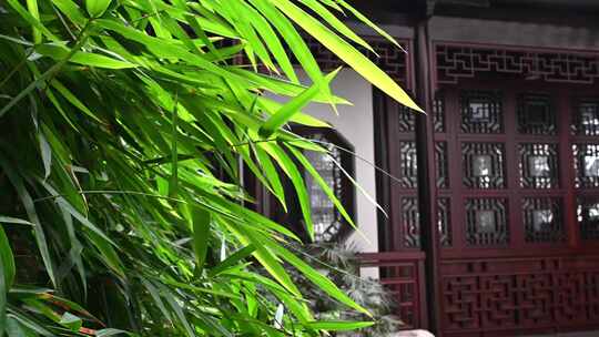 绿竹与中国风园林建筑 4K