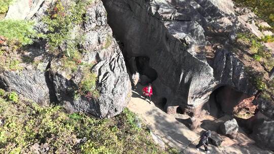 4K航拍重庆秋天黎坪森林公园风景区