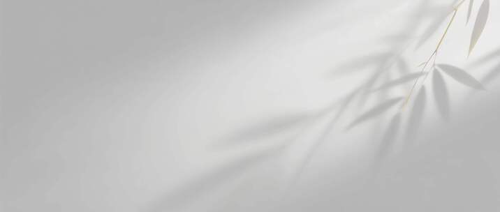 简约白色背景中国风金色线条