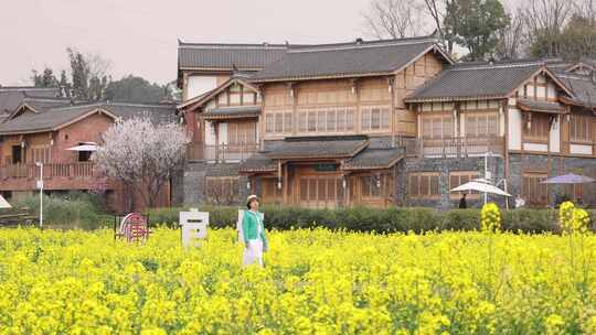 成都天府正兴官塘新村油菜花田园春天