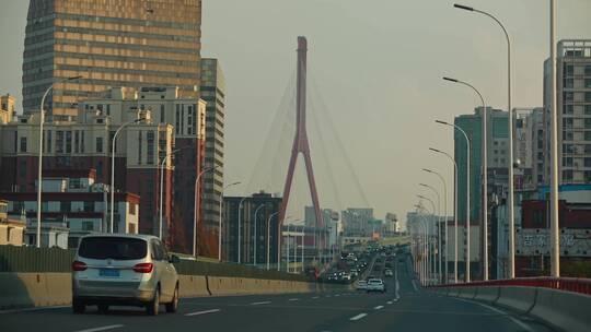 高架桥上看到杨浦大桥