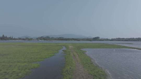 海南农村湿地风光