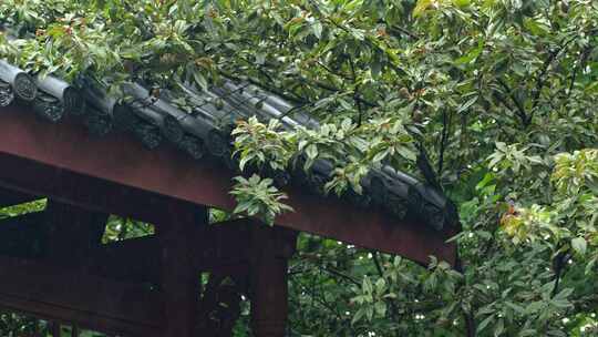 重庆雨季下雨屋檐实拍