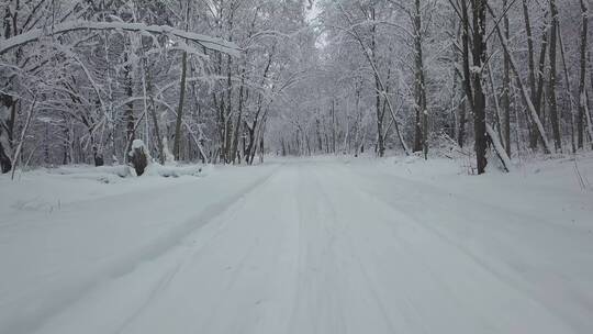 大雪覆盖的森林道路视频素材模板下载