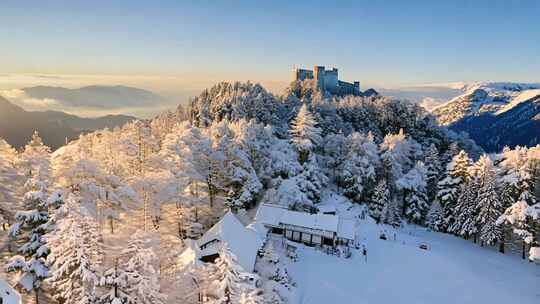 新疆阿勒泰雪景风光树林森林积雪冰雪世界