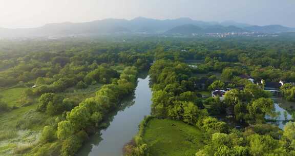 杭州西溪湿地公园夏天风光航拍