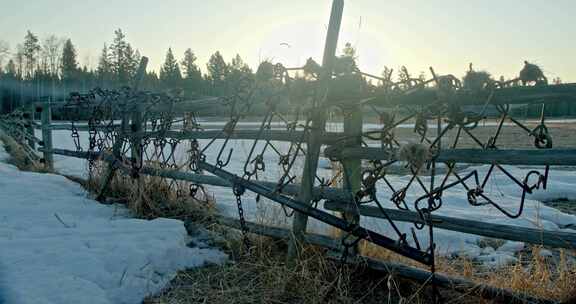 栅栏、雪、树、锁