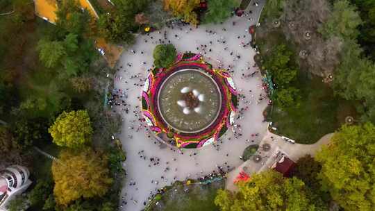 青岛中山公园秋天菊花展航拍鸟瞰全景