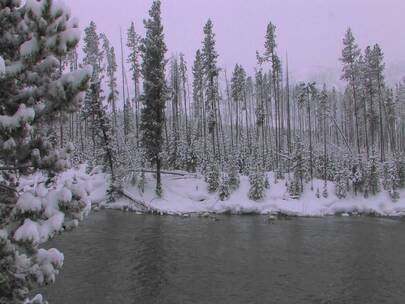 河流两岸的雪后美景