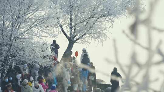 江边雾凇树怪冰雪旅游游玩游客古装拍照吉林