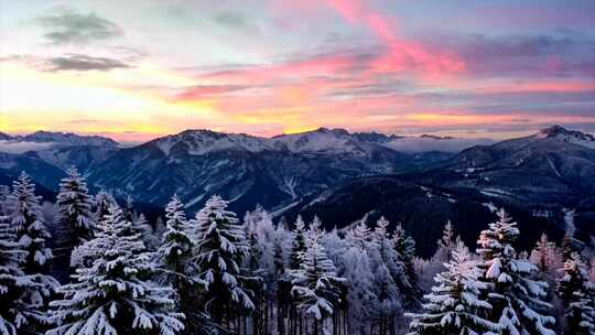 「有版权」航拍雪山森林雾凇合集4K