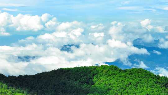 茶山 山川 云海 云南原始森林 大好河山