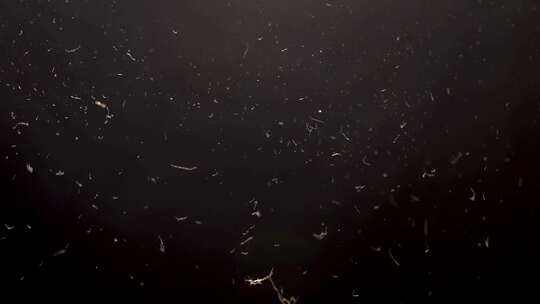 麻绳拧紧剪断团结合作