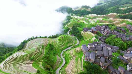 航拍广西桂林龙脊梯田高山云海壮丽风景