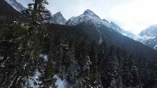 冬天毕棚沟雪景fpv穿越机航拍阿坝州雪山