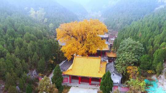 山东济南淌豆寺秋天航拍寺庙