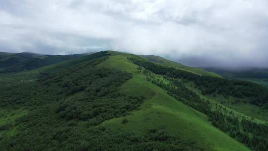 【航拍】草原风景 坝上草原 草原天路