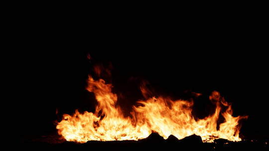 大火 火灾 着火 森林大火 火燃烧 火焰视频素材模板下载