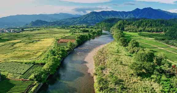 福建武夷山国家公园岩茶核心产区0392