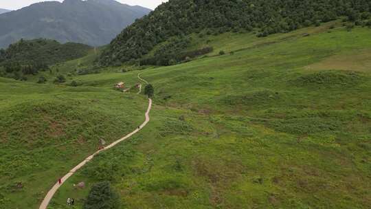 草原景区风景航拍高山森林