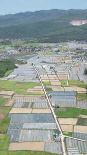 竖版航拍农田农业种植稻田大棚