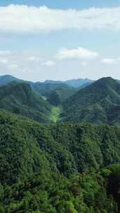 竖版航拍湖北神农架天燕景区4A景区