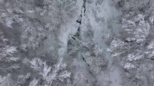 东北冬天暴雪大雪中的林海雪原