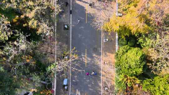 航拍青岛八大关风景区