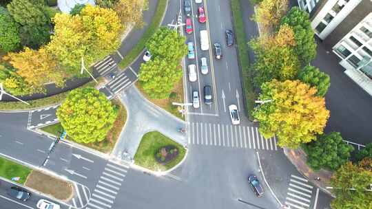 城市秋天道路风景航拍