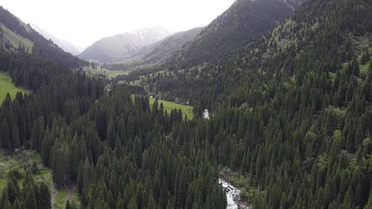 航拍新疆伊犁乌孙古道河流雪山森林绝美风光