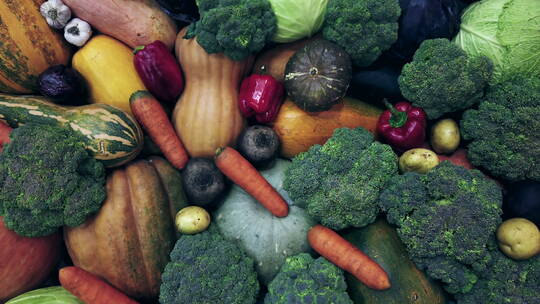 很多蔬菜