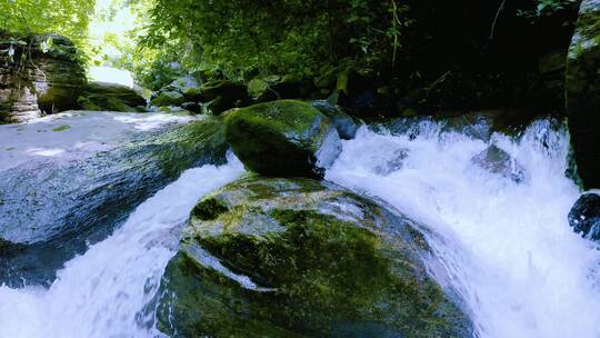 高黎贡山的水溪流4K视频素材模板下载