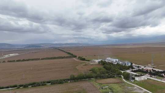 航拍青海门源县油菜种植基地