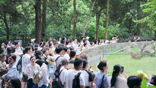 野生动物园出游人山人海