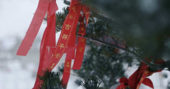 冬季雪中祝福祈祷牌许愿树红丝带飞舞